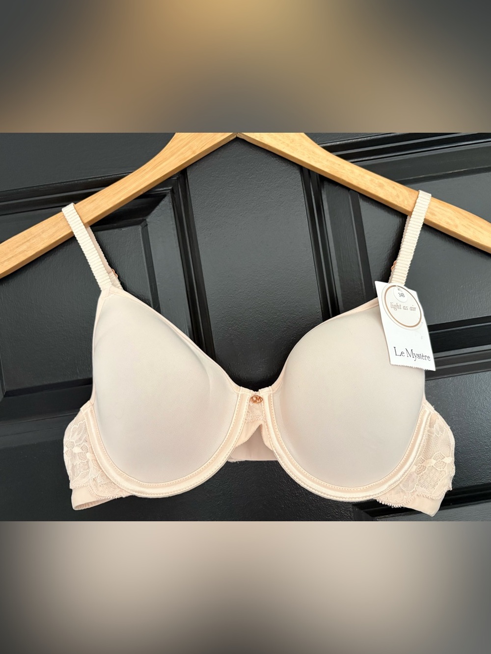 Le Mystere Light as Air Pale Pink Bra NWT 34B